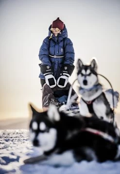 Hestra Sirius Polar Mitt - Natural Grey & Black -Hestra Store 280 dd43b45d0c e1a7201 original